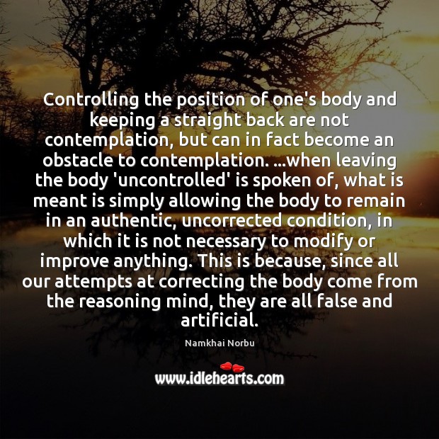 Controlling the position of one’s body and keeping a straight back are Namkhai Norbu Picture Quote