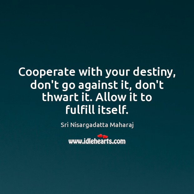 Cooperate with your destiny, don’t go against it, don’t thwart it. Allow Cooperate Quotes Image