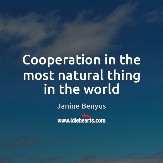 Cooperation in the most natural thing in the world Janine Benyus Picture Quote