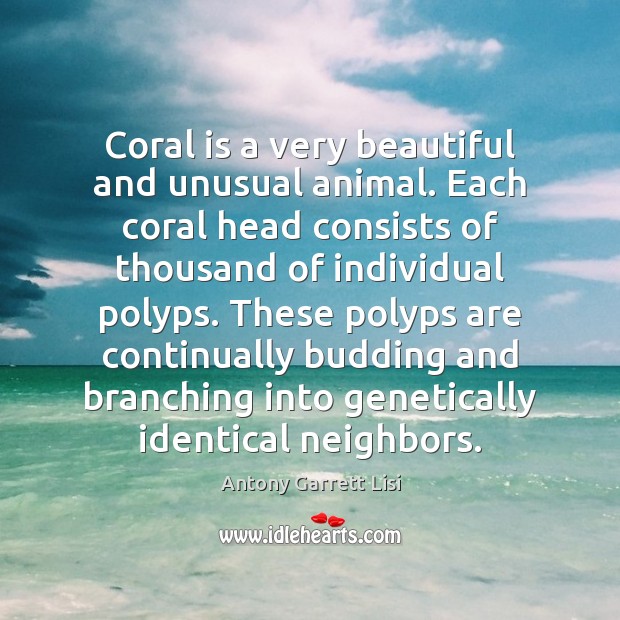 Coral is a very beautiful and unusual animal. Each coral head consists Antony Garrett Lisi Picture Quote