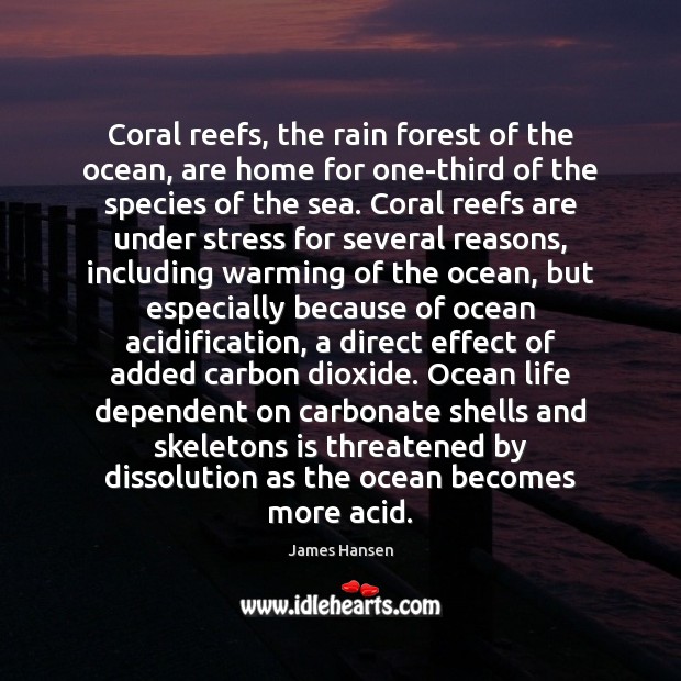 Coral reefs, the rain forest of the ocean, are home for one-third James Hansen Picture Quote