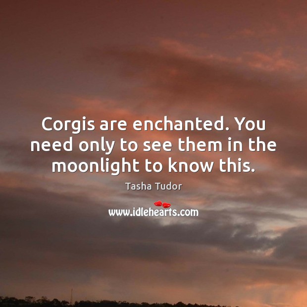 Corgis are enchanted. You need only to see them in the moonlight to know this. Tasha Tudor Picture Quote
