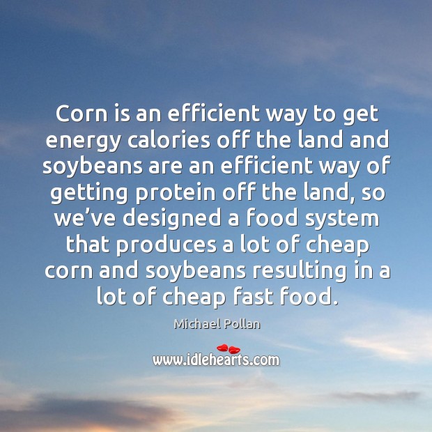 Corn is an efficient way to get energy calories off the land Michael Pollan Picture Quote