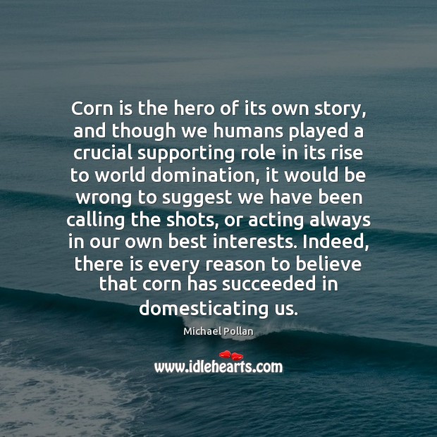 Corn is the hero of its own story, and though we humans Michael Pollan Picture Quote