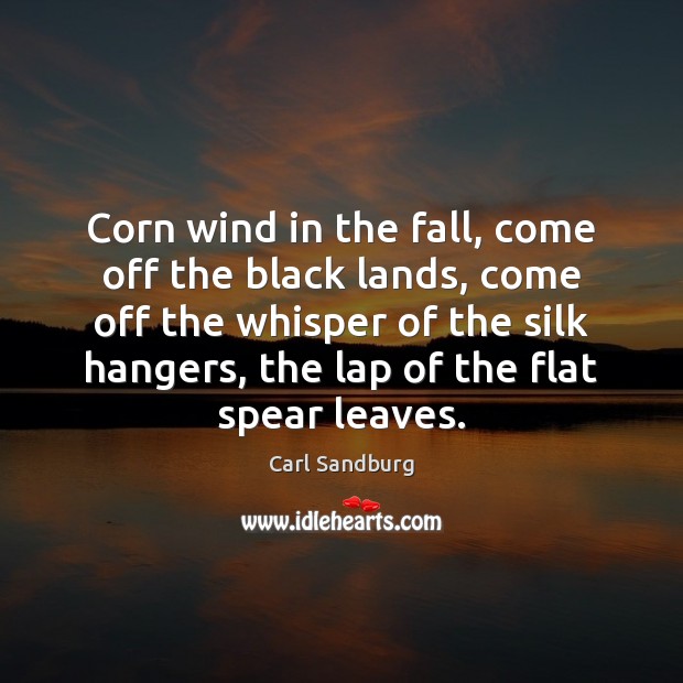 Corn wind in the fall, come off the black lands, come off Carl Sandburg Picture Quote