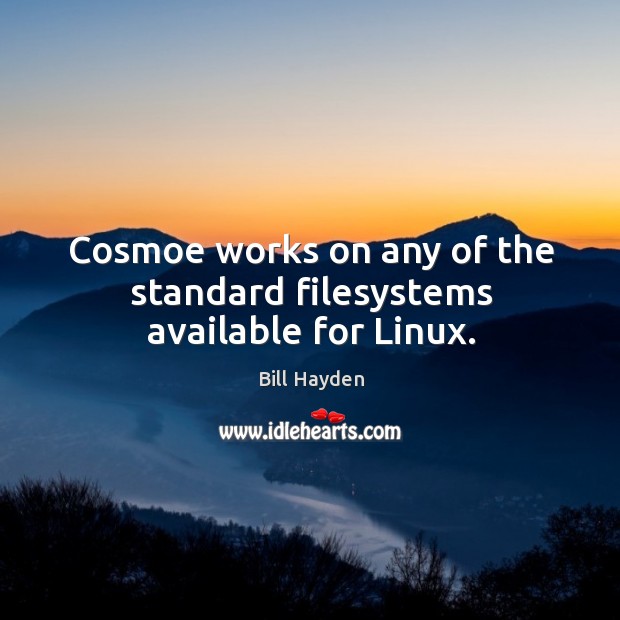 Cosmoe works on any of the standard filesystems available for linux. Image