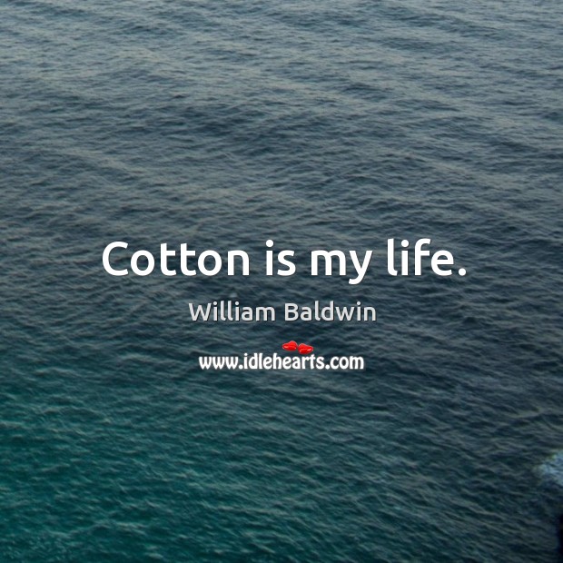 Cotton is my life. William Baldwin Picture Quote