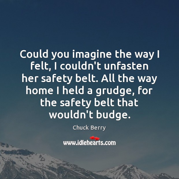 Could you imagine the way I felt, I couldn’t unfasten her safety Grudge Quotes Image