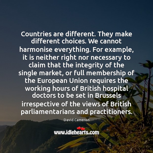 Countries are different. They make different choices. We cannot harmonise everything. For David Cameron Picture Quote