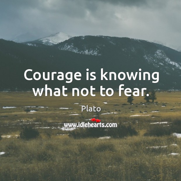 Courage is knowing what not to fear. Image