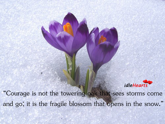 Courage is not the towering oak that sees storms come and Image