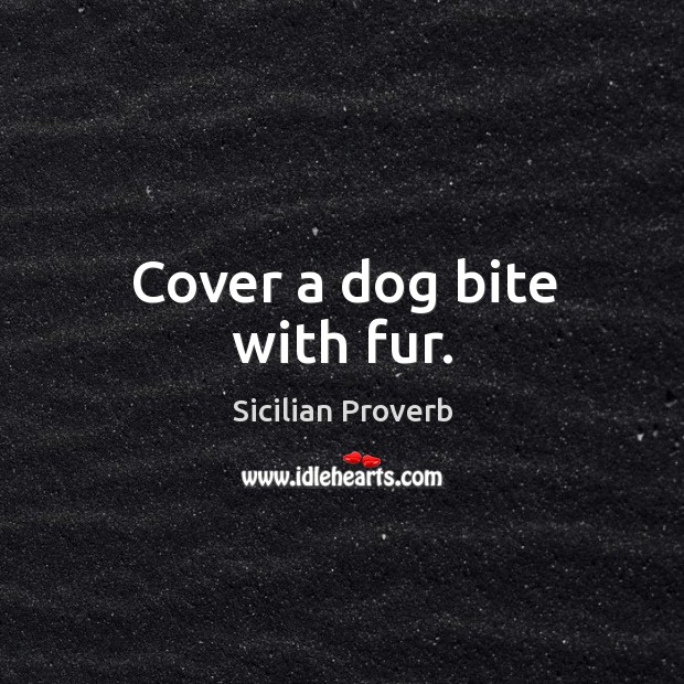 Cover a dog bite with fur. Sicilian Proverbs Image
