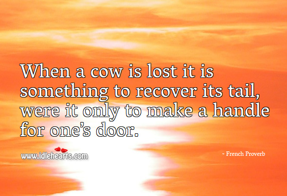 When a cow is lost it is something to recover its tail, were it only to make a handle for one’s door. French Proverbs Image