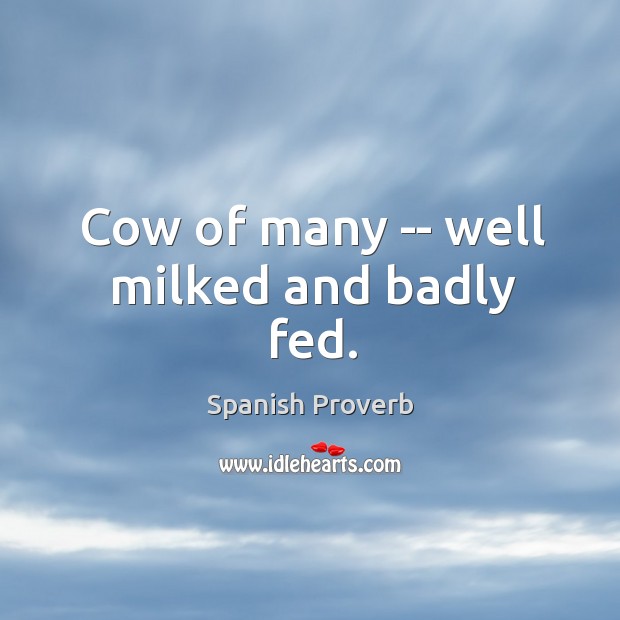 Cow of many — well milked and badly fed. Spanish Proverbs Image