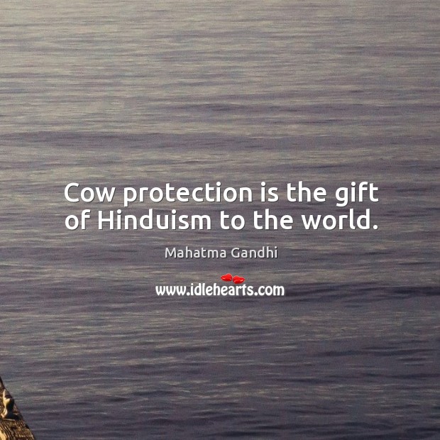 Cow protection is the gift of Hinduism to the world. Image