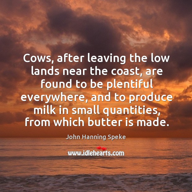 Cows, after leaving the low lands near the coast, are found to be plentiful everywhere John Hanning Speke Picture Quote