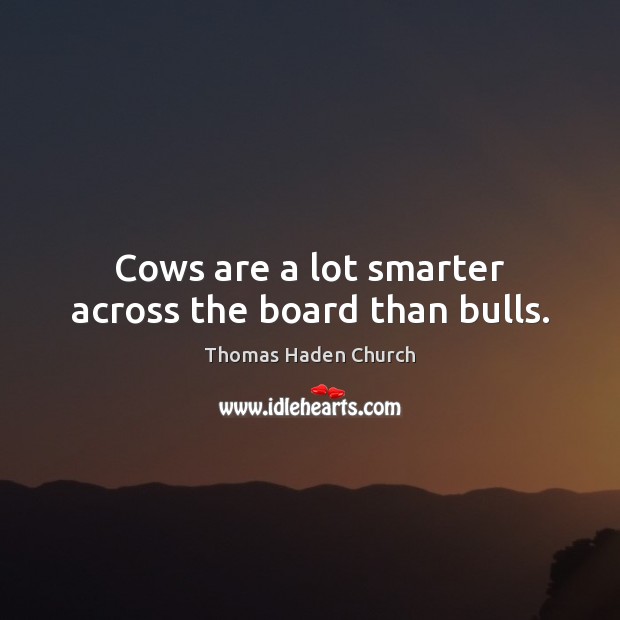 Cows are a lot smarter across the board than bulls. Thomas Haden Church Picture Quote
