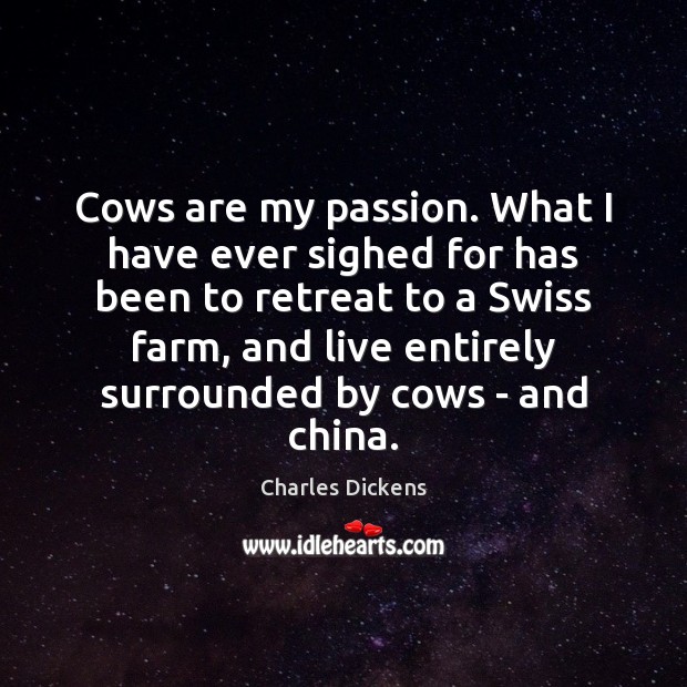 Cows are my passion. What I have ever sighed for has been Image