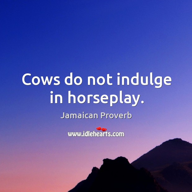 Cows do not indulge in horseplay. Jamaican Proverbs Image