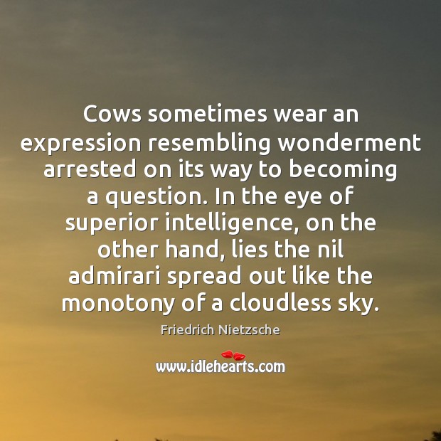 Cows sometimes wear an expression resembling wonderment arrested on its way to Friedrich Nietzsche Picture Quote