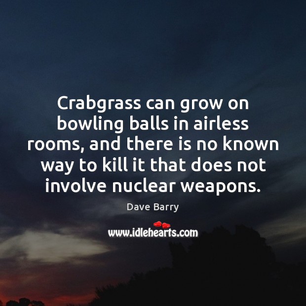 Crabgrass can grow on bowling balls in airless rooms, and there is Image