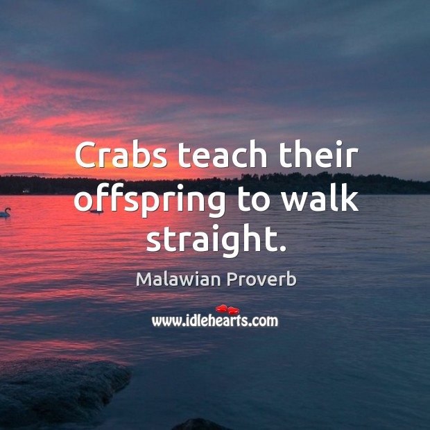Crabs teach their offspring to walk straight. Malawian Proverbs Image