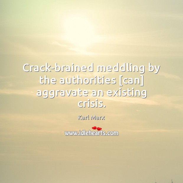 Crack-brained meddling by the authorities [can] aggravate an existing crisis. Karl Marx Picture Quote