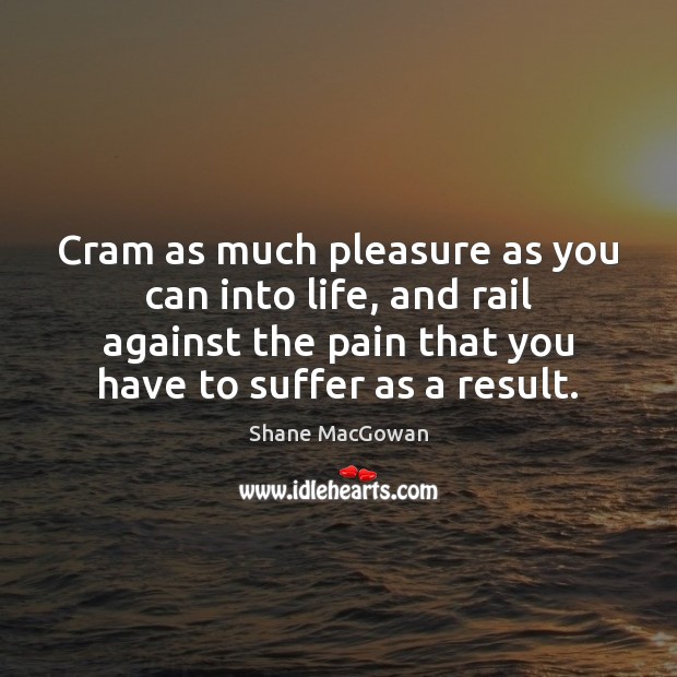 Cram as much pleasure as you can into life, and rail against Shane MacGowan Picture Quote