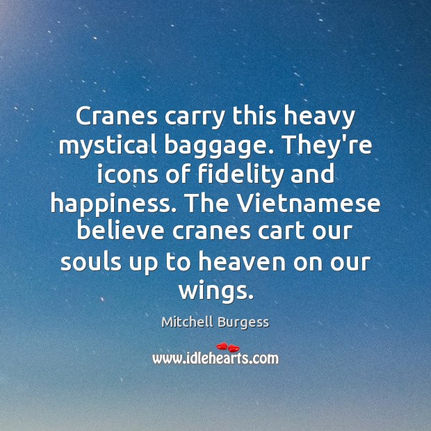 Cranes carry this heavy mystical baggage. They’re icons of fidelity and happiness. Mitchell Burgess Picture Quote