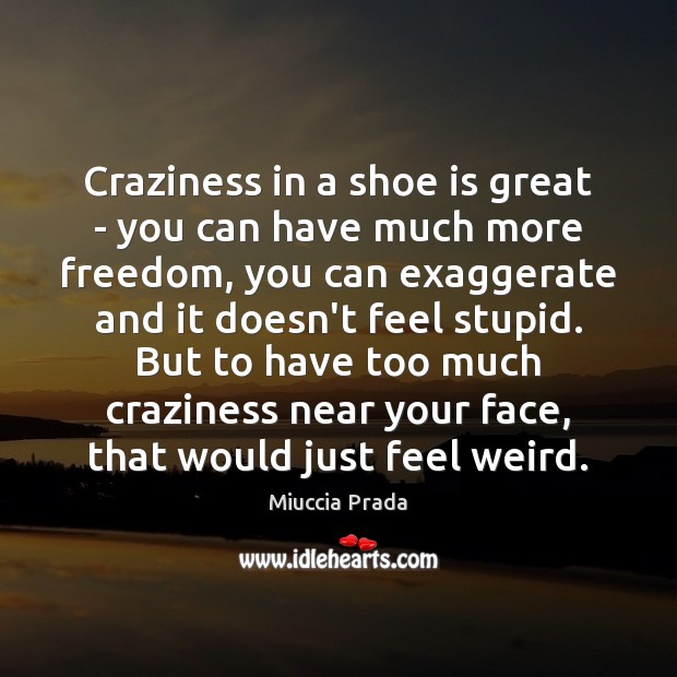 Craziness in a shoe is great – you can have much more Miuccia Prada Picture Quote