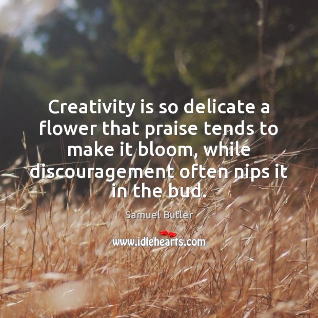Creativity is so delicate a flower that praise tends to make it Samuel Butler Picture Quote