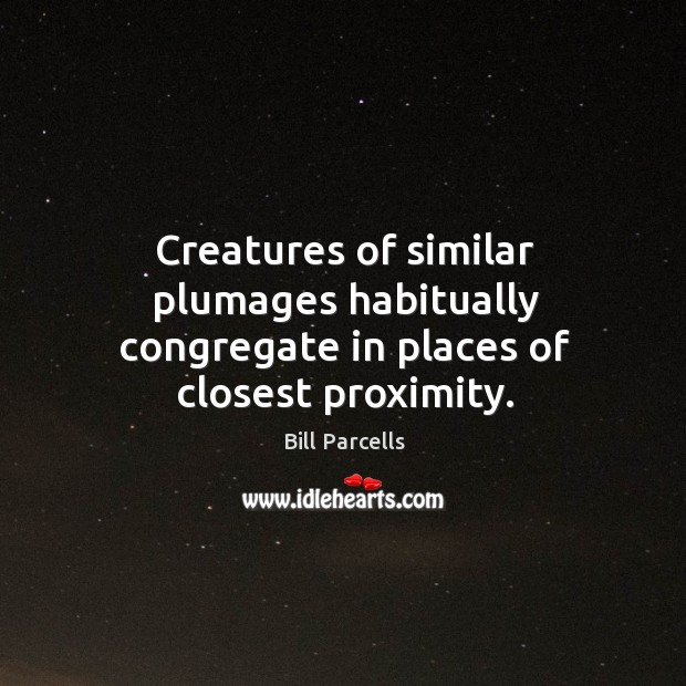 Creatures of similar plumages habitually congregate in places of closest proximity. Bill Parcells Picture Quote