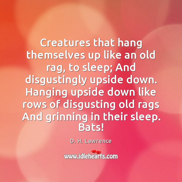 Creatures that hang themselves up like an old rag, to sleep; And D. H. Lawrence Picture Quote
