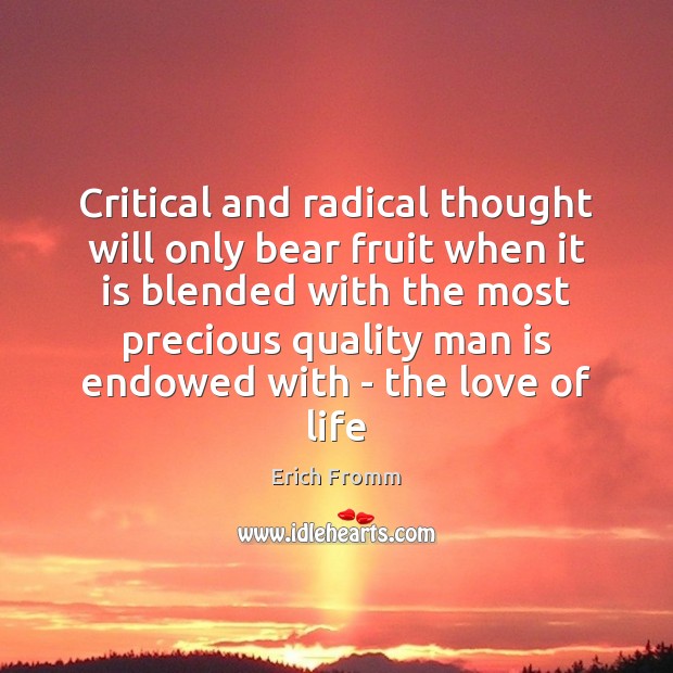 Critical and radical thought will only bear fruit when it is blended Image