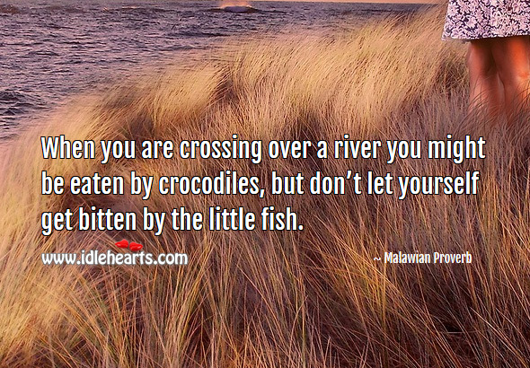 When you are crossing over a river you might be eaten by crocodiles, but don’t let yourself get bitten by the little fish. Malawian Proverbs Image