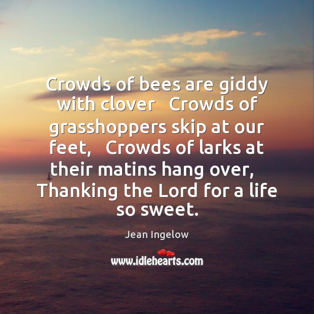 Crowds of bees are giddy with clover   Crowds of grasshoppers skip at 