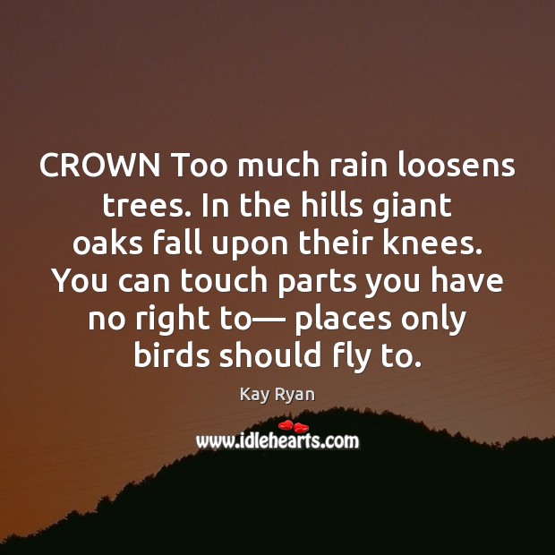 CROWN Too much rain loosens trees. In the hills giant oaks fall Kay Ryan Picture Quote