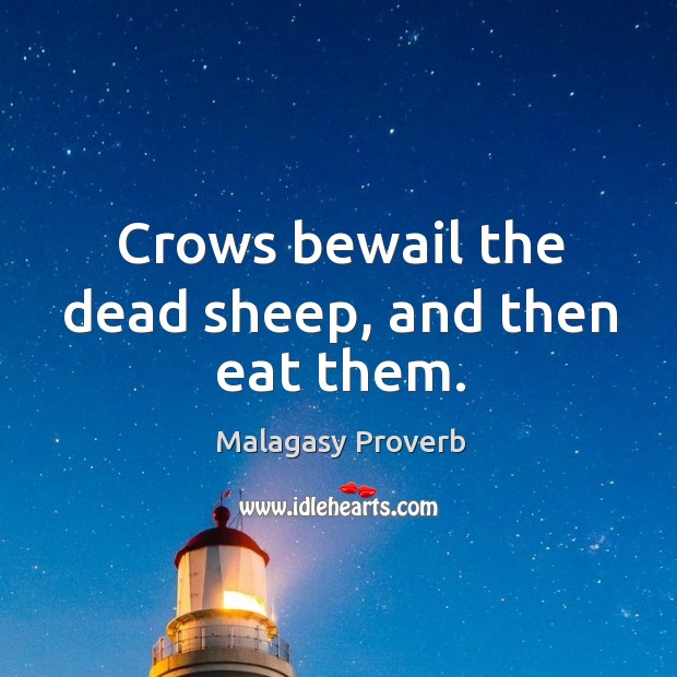 Crows bewail the dead sheep, and then eat them. Malagasy Proverbs Image