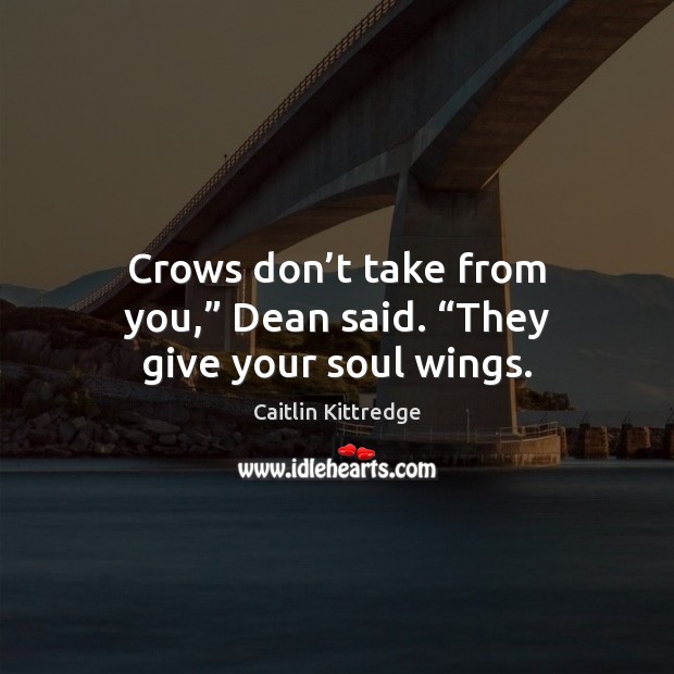Crows don’t take from you,” Dean said. “They give your soul wings. Caitlin Kittredge Picture Quote