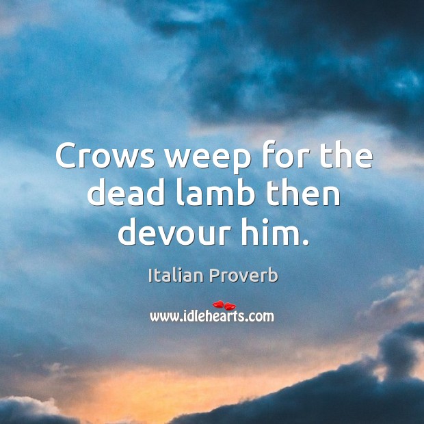 Crows weep for the dead lamb then devour him. Image