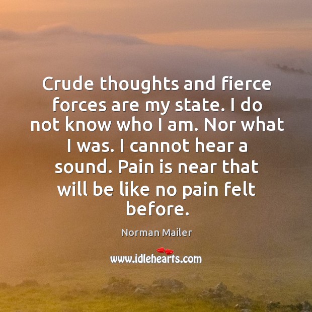 Crude thoughts and fierce forces are my state. I do not know Norman Mailer Picture Quote
