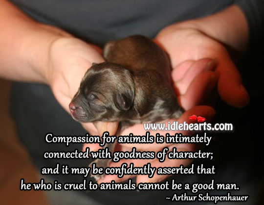 He who is cruel to animals cannot be a good man. 
