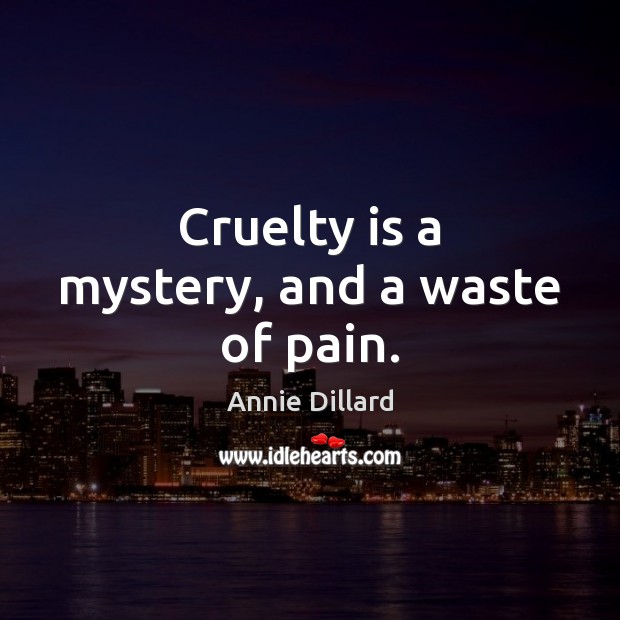 Cruelty is a mystery, and a waste of pain. Annie Dillard Picture Quote