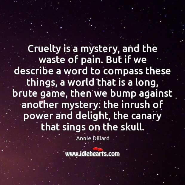 Cruelty is a mystery, and the waste of pain. But if we Annie Dillard Picture Quote
