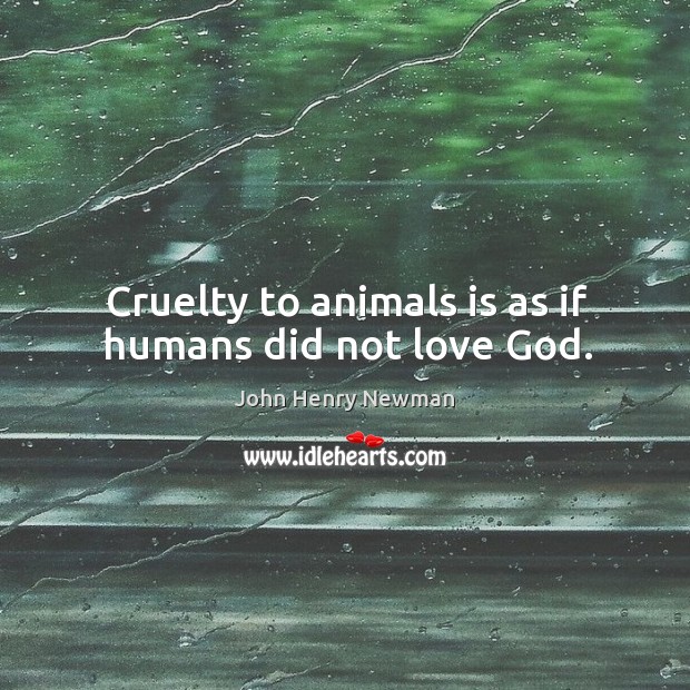 Cruelty to animals is as if humans did not love God. John Henry Newman Picture Quote