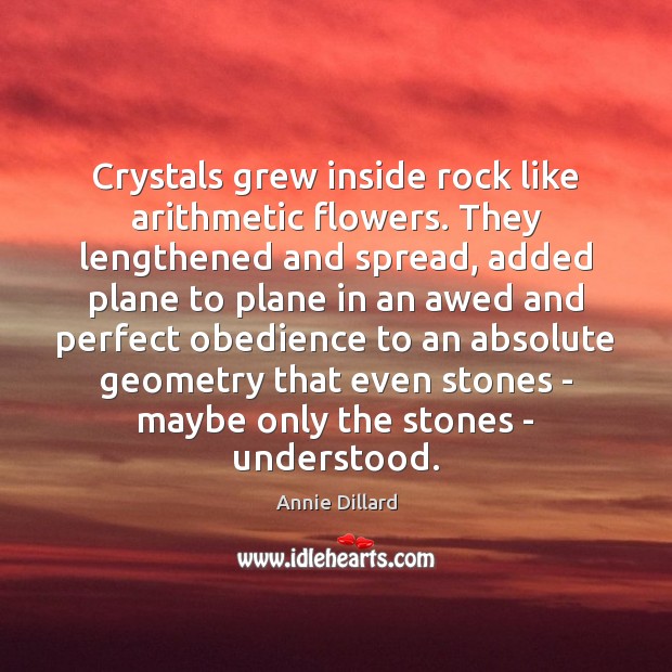 Crystals grew inside rock like arithmetic flowers. They lengthened and spread, added Annie Dillard Picture Quote