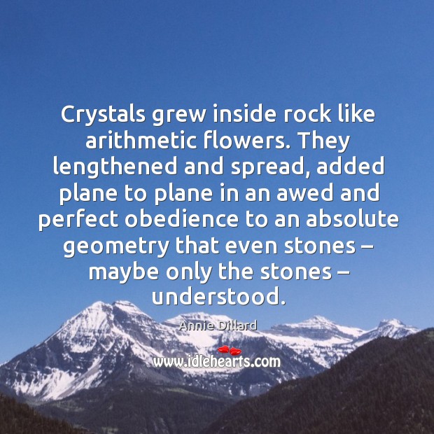 Crystals grew inside rock like arithmetic flowers. Annie Dillard Picture Quote