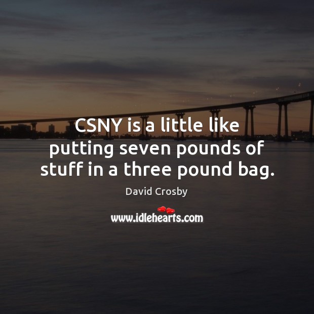 CSNY is a little like putting seven pounds of stuff in a three pound bag. David Crosby Picture Quote