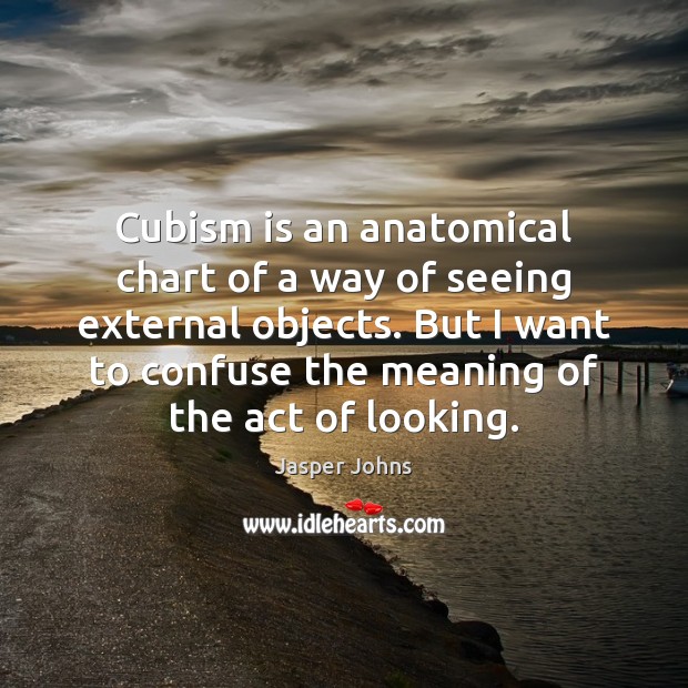 Cubism is an anatomical chart of a way of seeing external objects. Jasper Johns Picture Quote