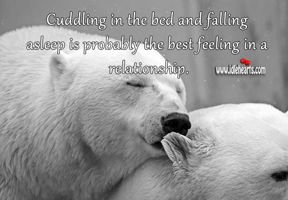 Cuddling falling asleep is probably the best feeling in a relationship. 